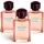 Three bottles of 3x Joop! Homme Mild Deodorant 75ml Spray, each featuring pink liquid and a dark hexagonal cap, are arranged side by side on a white background.